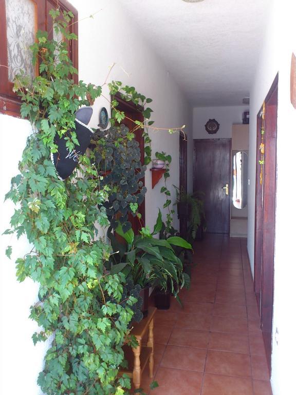 Apartment Leona Senj (Lika-Senj) Exterior photo