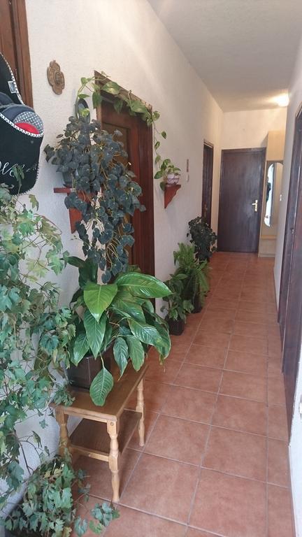 Apartment Leona Senj (Lika-Senj) Exterior photo
